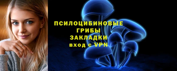 твердый Горнозаводск