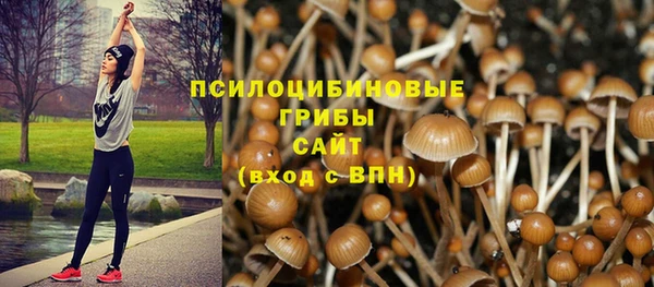 герыч Горняк